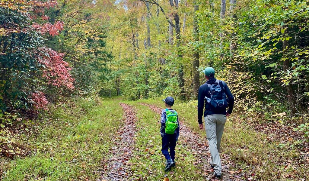 Roles, Anxiety, and the Power of a&nbsp;Manifesto