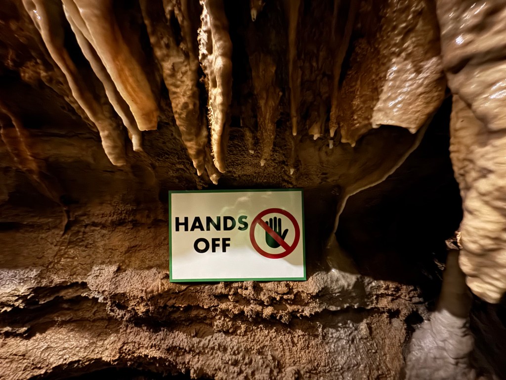 Balancing Actions and the Exhaustive&nbsp;Mind