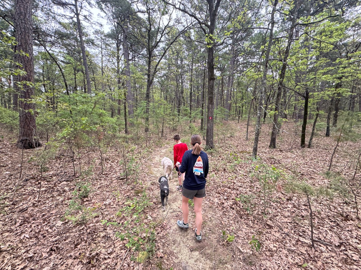 We All Want&nbsp;Something